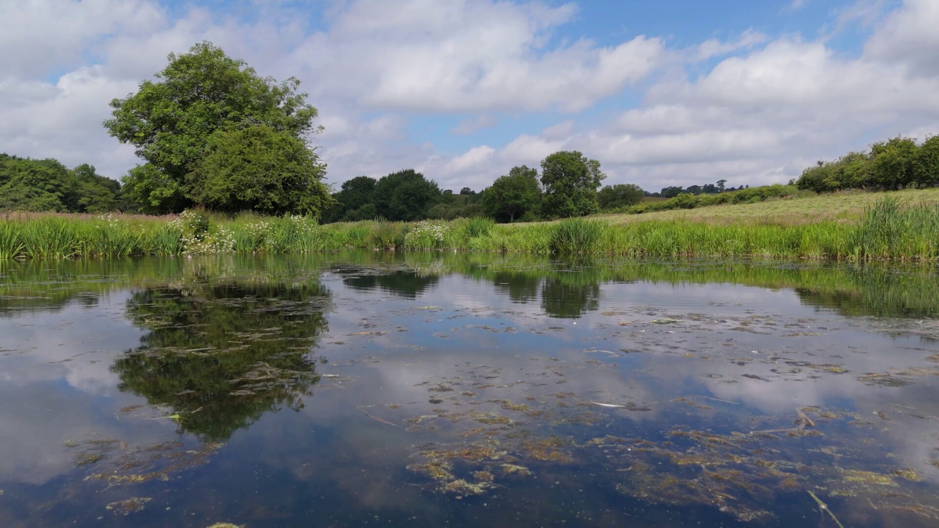 Exploring Cam Valley Nature Reserve